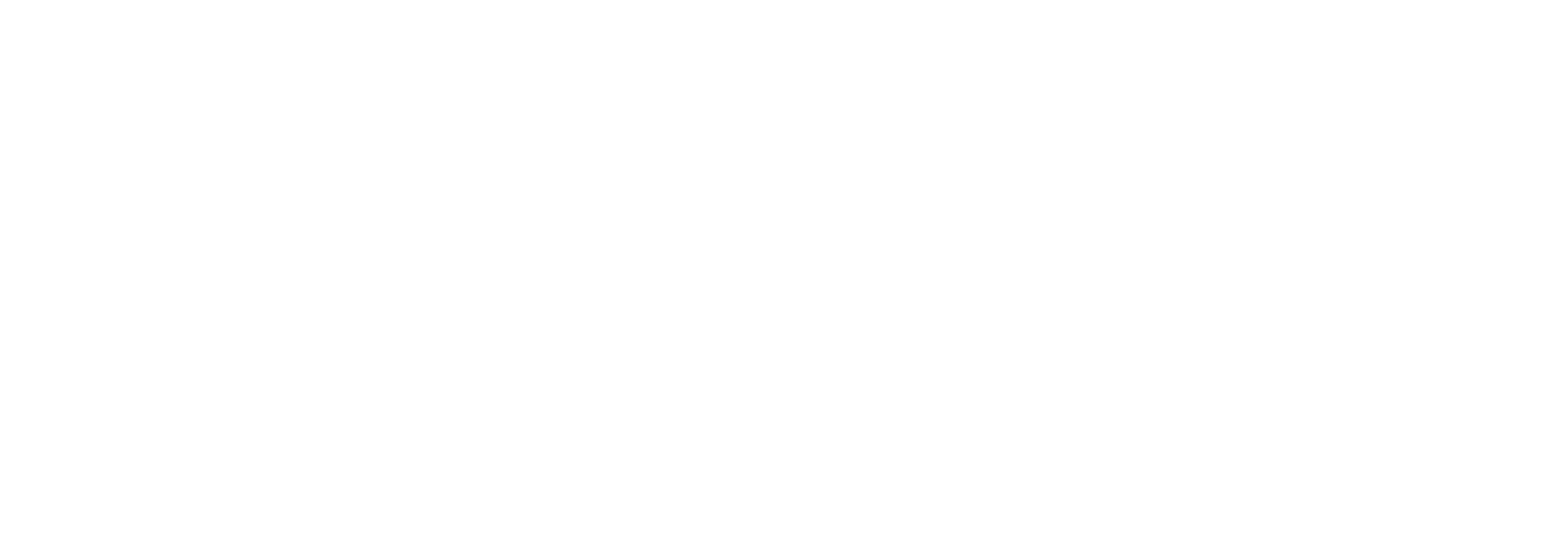 strangerview logo